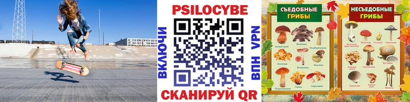 Галлюциногенные грибы Psilocybine cubensis  Купить закладки  Пудож 