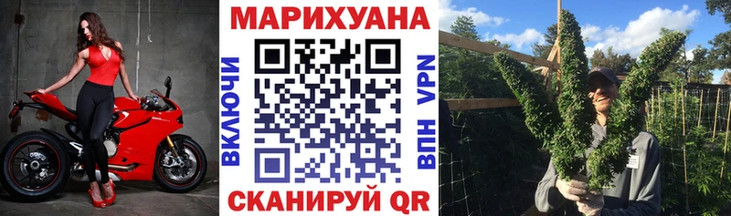 Каннабис конопля  Купить закладки  Пудож 